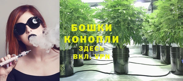 прущие крисы Беломорск