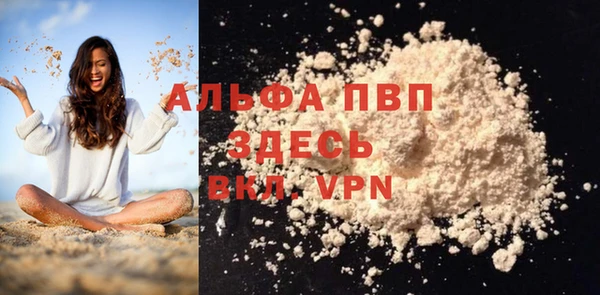 СК Белокуриха