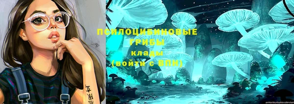 прущие крисы Беломорск