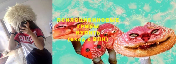 прущие крисы Беломорск