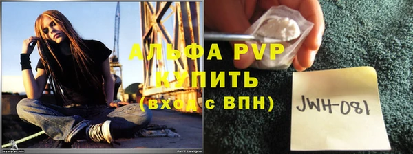 прущие крисы Беломорск