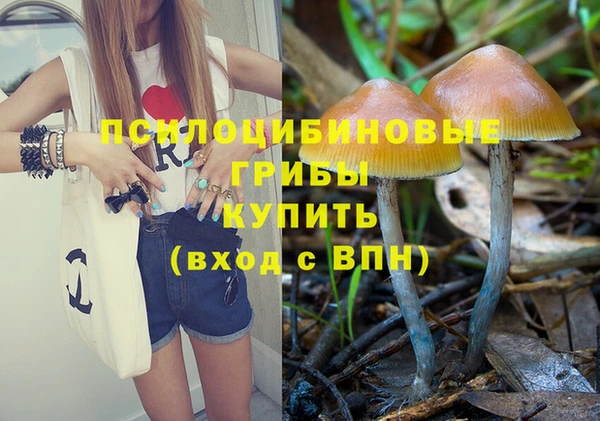прущие крисы Беломорск