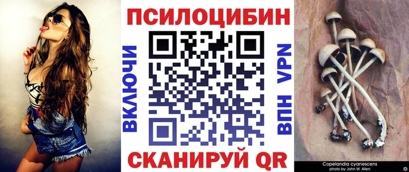 наркошоп Плёс Псилоцибиновые грибы Cubensis
